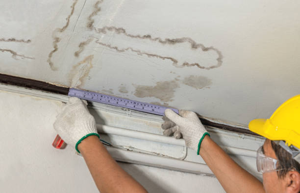 Reliable Sewage Cleanup contractor in Iselin, NJ by Local Water Damage Repair